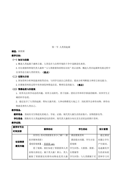 《人类的起源》教案