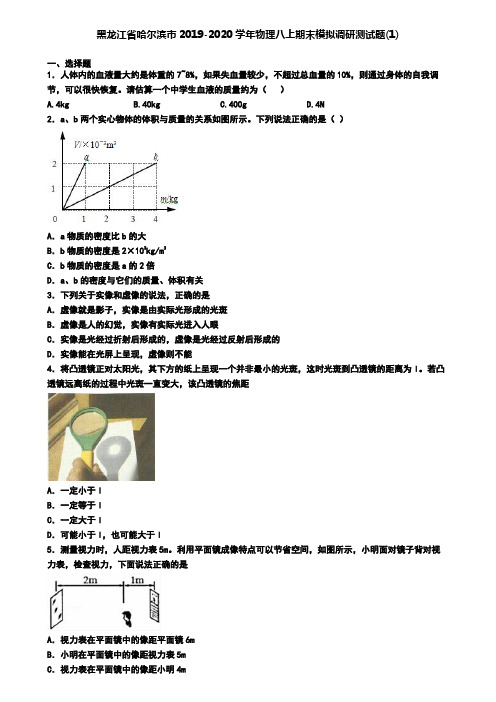 黑龙江省哈尔滨市2019-2020学年物理八上期末模拟调研测试题(1)