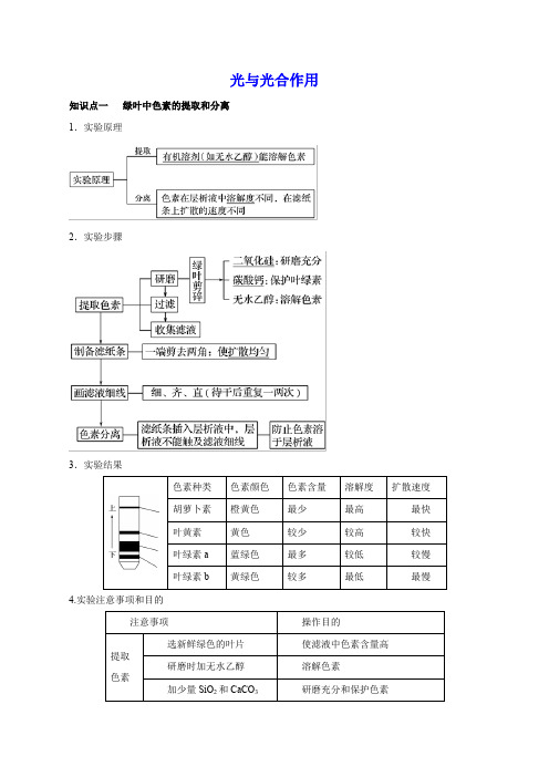 光与光合作用 知识点总结与重难点