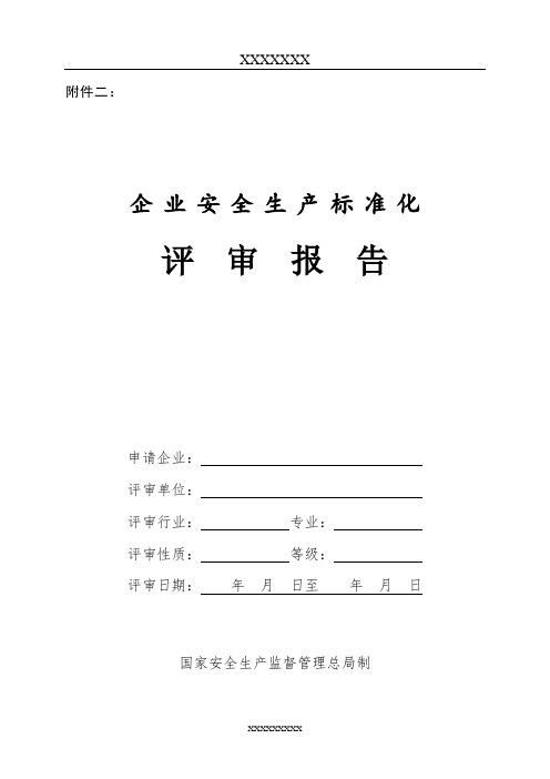 企业安全生产标准化评审报告