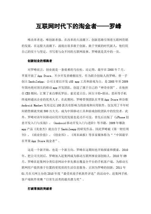 互联网时代下的淘金者——罗峰