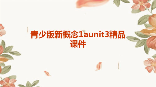 青少版新概念1AUNIT3精品课件