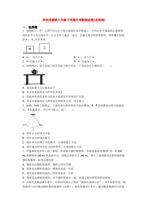 苏科苏教版八年级下学期月考物理试卷(含答案)