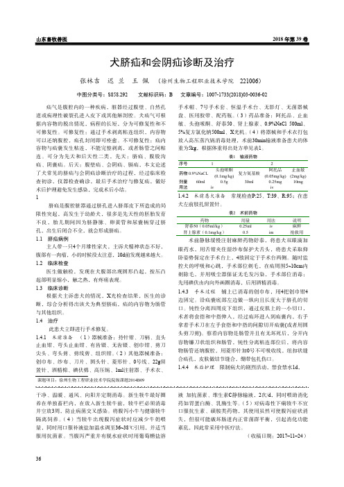 犬脐疝和会阴疝诊断及治疗