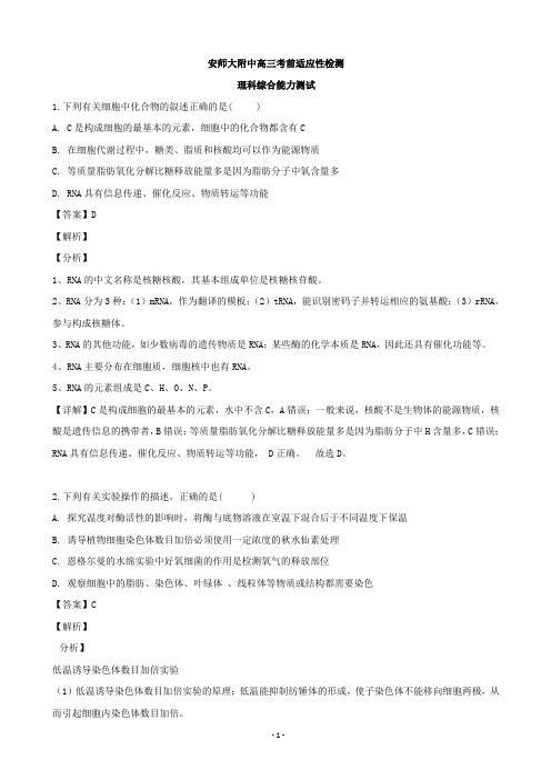 安徽省师范大学附属中学高三5月考前适应性检测(最后一卷)理科综合生物试题(解析版)