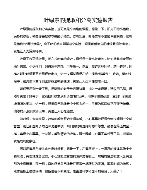 叶绿素的提取和分离实验报告