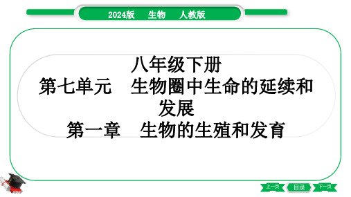 2024年人教版中考生物总复习第一部分考点梳理第七单元生物圈中生命的延续和发展第一章生物的生殖和发育