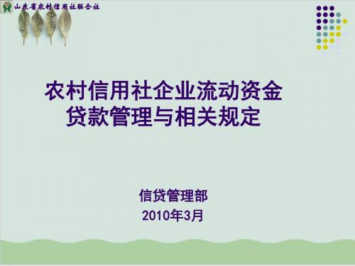 农村信用社企业流动资金贷款管理与相关规定PPT课件( 53页)