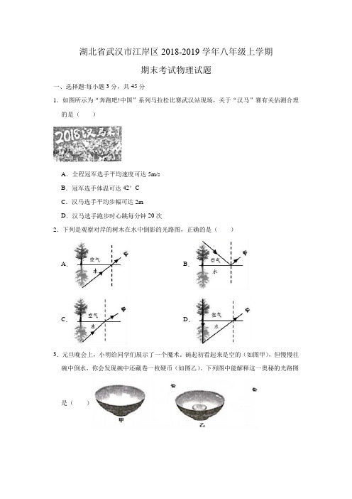 湖北省武汉市江岸区2018-2019学年八年级上学期期末考试物理试题(解析版)