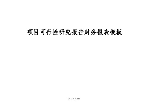 项目可行性研究报告财务报表模板