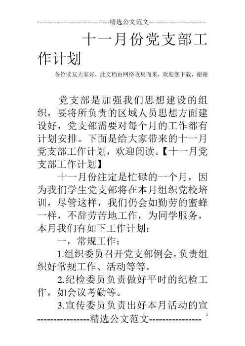 十一月份党支部工作计划