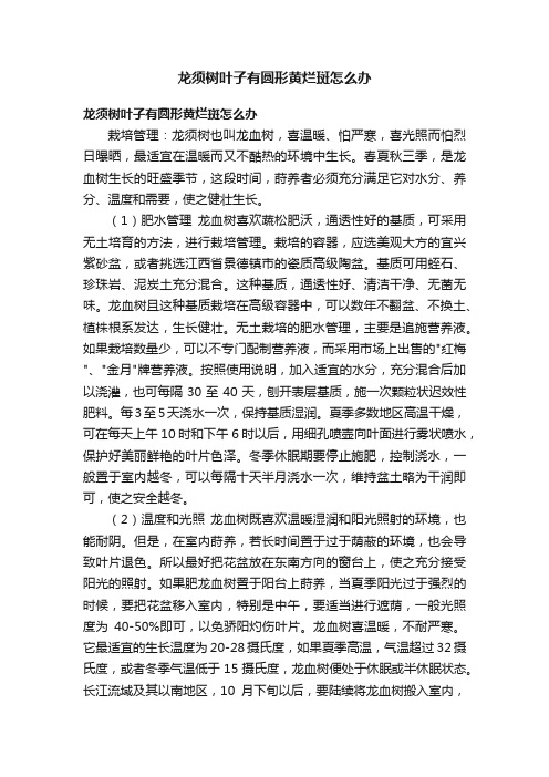 龙须树叶子有圆形黄烂斑怎么办