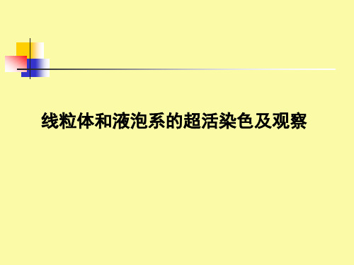 液泡系和线粒体的活体染色及观察