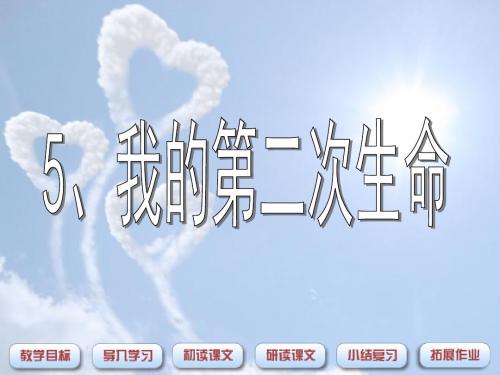 我的第二次生命