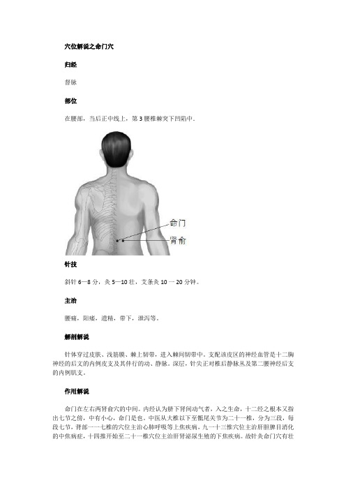 穴位解说之命门穴