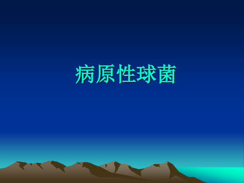 病原性球菌.ppt