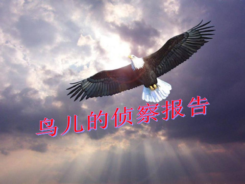 《鸟儿的侦察报告》2精品 课件