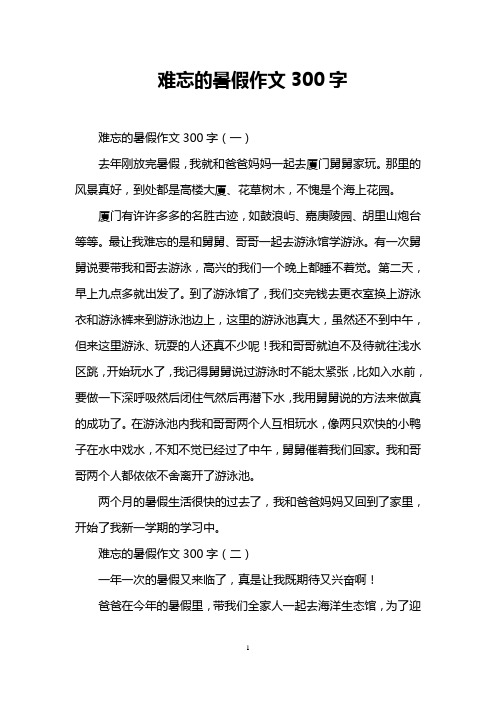 难忘的暑假作文300字