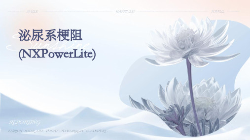 泌尿系梗阻(NXPowerLite)