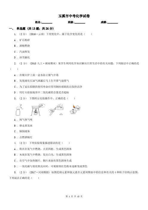 玉溪市中考化学试卷