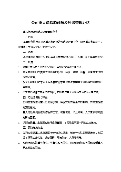 公司重大危险源预防及处置管理办法