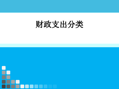 财政支出分类