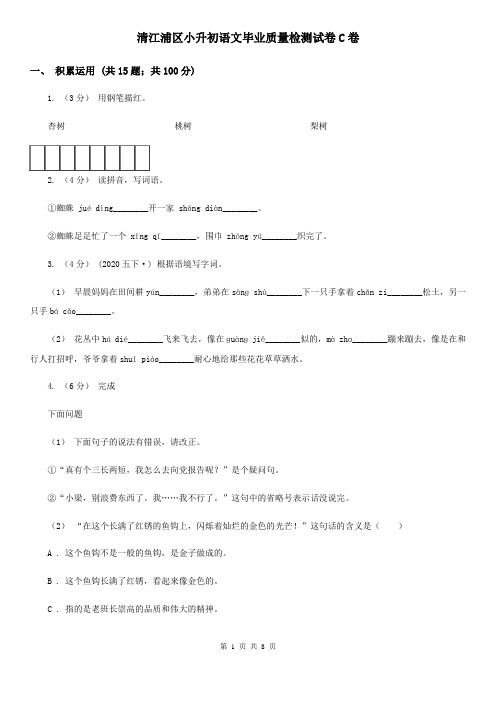 清江浦区小升初语文毕业质量检测试卷C卷