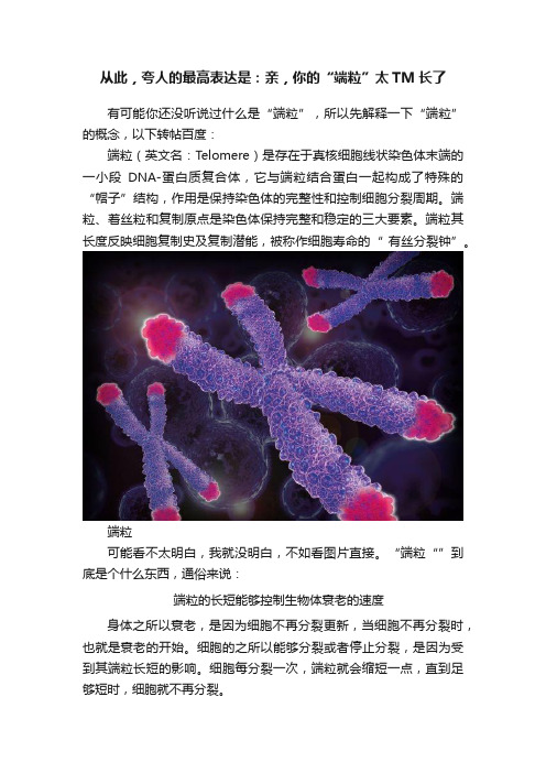 从此，夸人的最高表达是：亲，你的“端粒”太TM长了