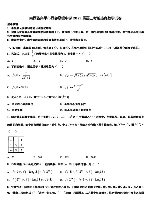 陕西省兴平市西郊高级中学2025届高三考前热身数学试卷含解析