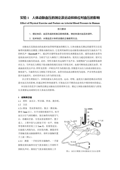 人体动脉血压的测定及运动和体位对血压的影响