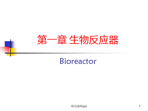 生物反应器ppt课件