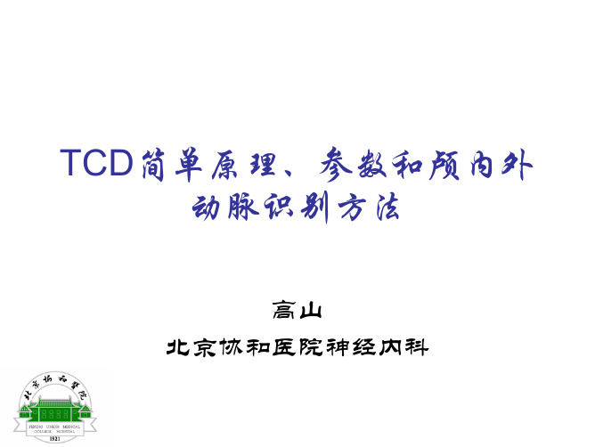 TCD原理和血管检查-高山