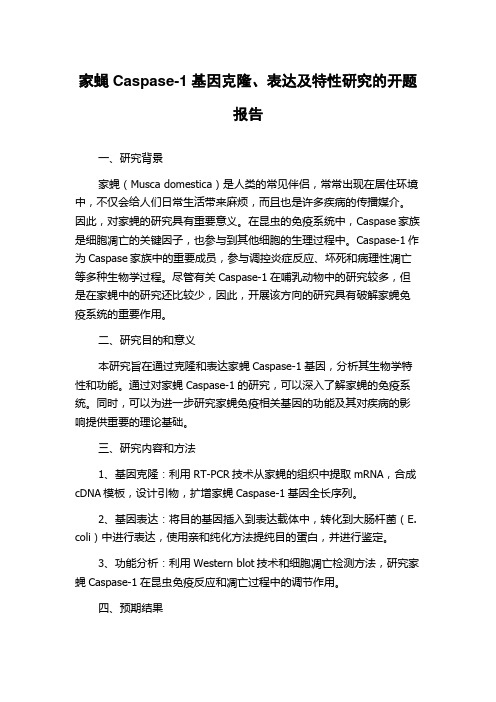 家蝇Caspase-1基因克隆、表达及特性研究的开题报告