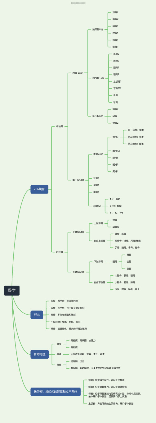 骨学思维导图-简单高清脑图_知犀