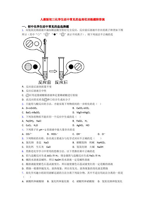 人教版初三化学生活中常见的盐培优训练题附答案