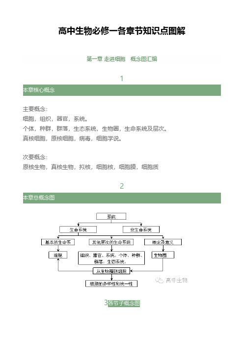 高中生物必修一各章节知识点图解