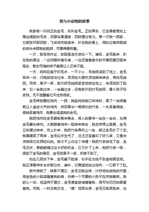 我与小动物的故事