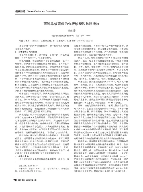 两种羊梭菌病的分析诊断和防控措施
