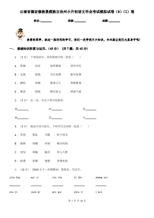 云南省德宏傣族景颇族自治州小升初语文毕业考试模拟试卷(9)(I)卷