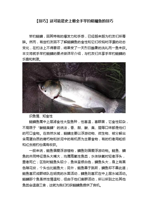 【技巧】这可能是史上最全手竿钓鲢鳙鱼的技巧