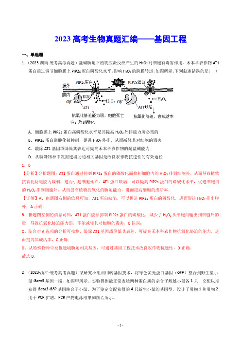 【高考生物】2023高考生物真题汇编——基因工程