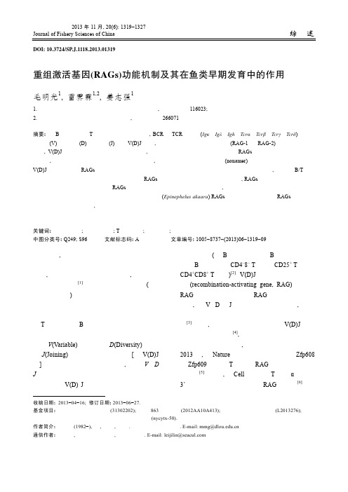 重组激活基因(RAGs)功能机制及其在鱼类早期发育中的作用