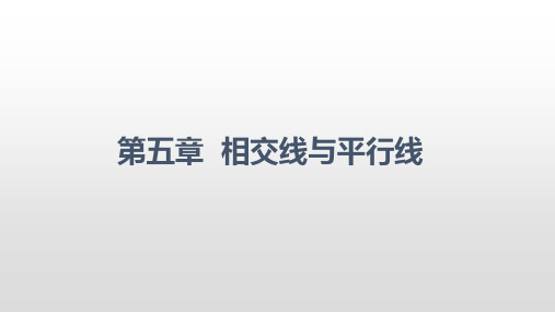 人教版七年级数学下册课件 5.3.1  平行线的性质