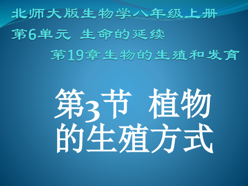 北师大版初中生物八年级上册 第六单元第十九章第三节 植物的生殖方式 课件(共43张)