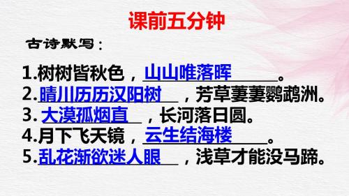 新人教版(部编)八年级语文上册《一单元 活动.探究  任务二 新闻采访》优质课课件_6