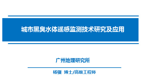 黑臭水体遥感监测技术研究及应用