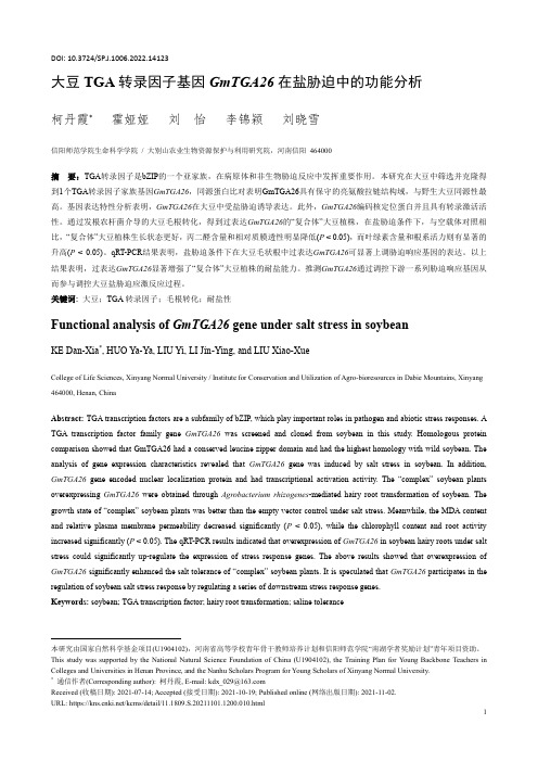 大豆TGA转录因子基因GmTGA26在盐胁迫中的功能分析