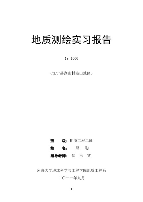 湖山地质实习报告