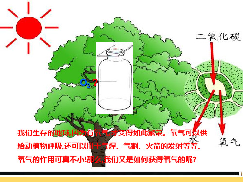 化学知识点讲解12：氧气的制取(用高锰酸钾、氯酸钾)(共37张PPT)