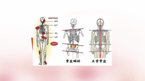 美式整脊ppt课件